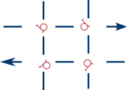 bdpq titled by 45 degrees on a horizontal net