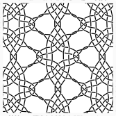 star from narrow eyed spider