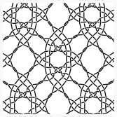 spider with narrow eye