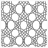 spider with narrow eye